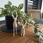 Exklusive 2 Im Herzen Des Spessarts Appartement *